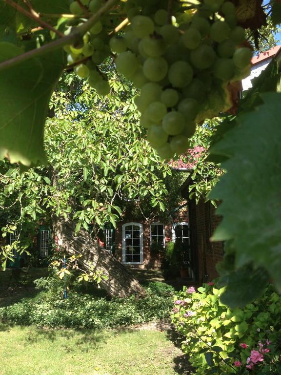 Pension Kunsthof Dahrenstedt Εξωτερικό φωτογραφία